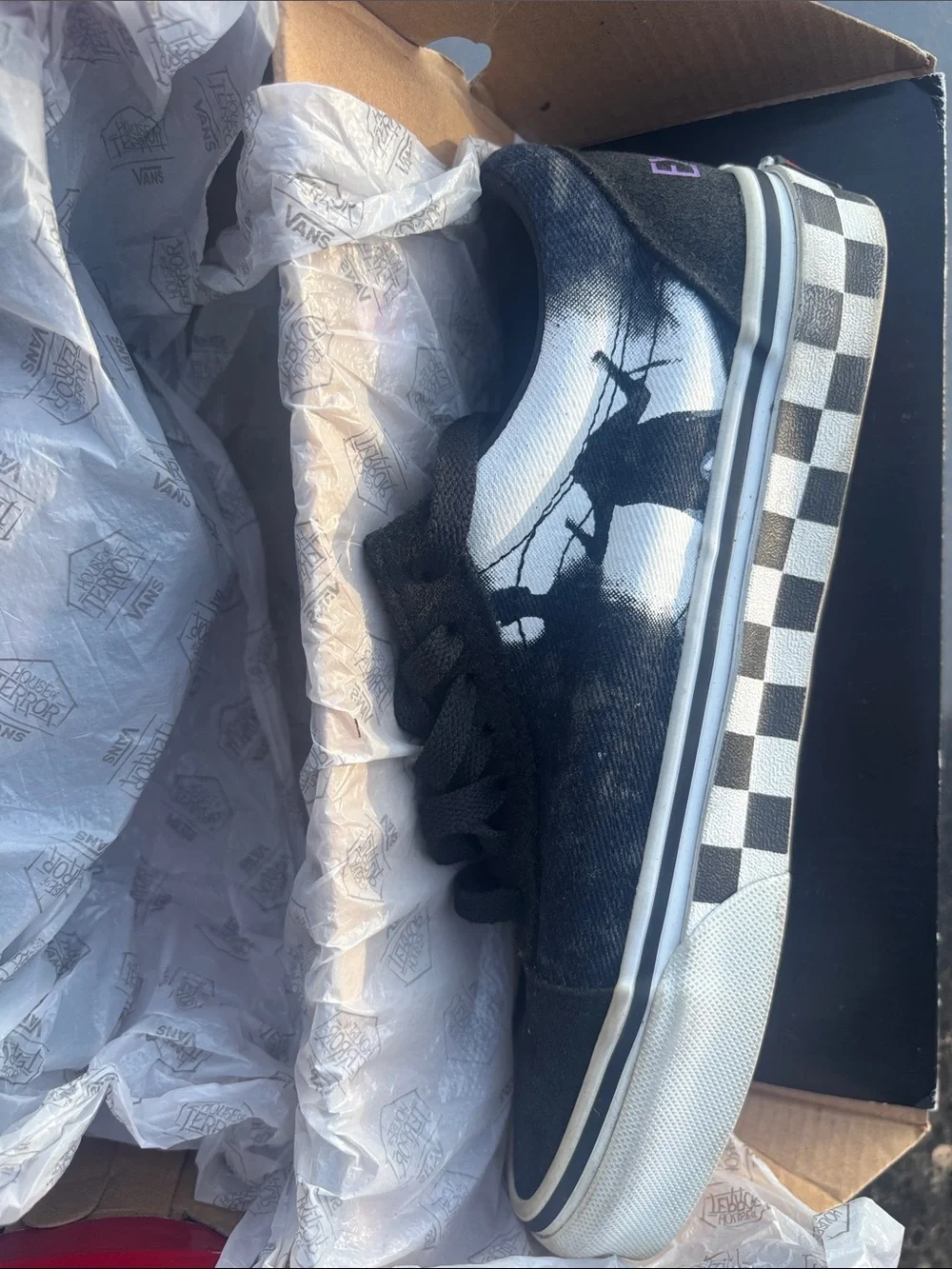 House of terror vans